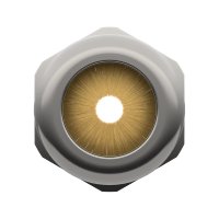 SKINTOP® MS NPT BRUSH 3/4IN
