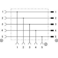 AB-C5-M12T-2XM12FS DN